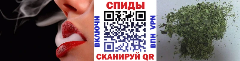 блэк спрут как зайти  Коммунар  Бутират буратино 