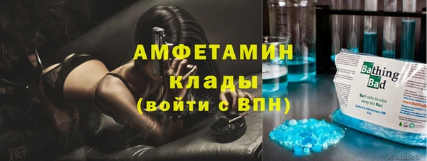 крисы Новодвинск