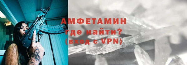 крисы Новодвинск