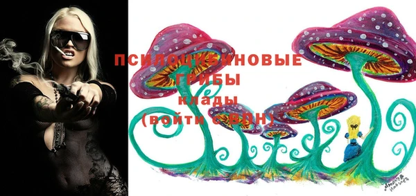 крисы Новодвинск