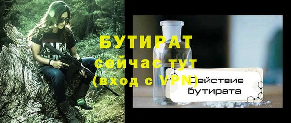 крисы Новодвинск