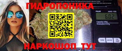 Альфа ПВП Донецк