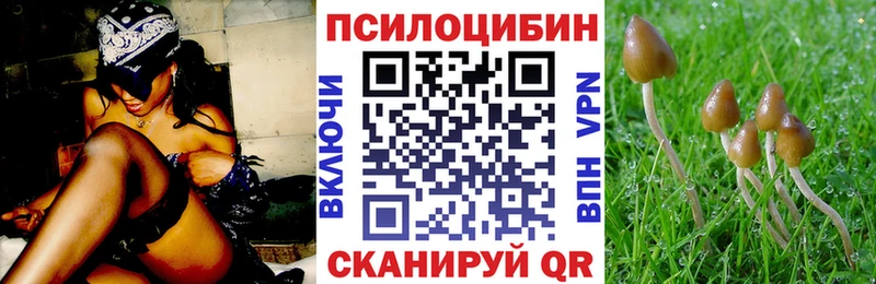 где можно купить наркотик  KRAKEN зеркало  Галлюциногенные грибы Psilocybine cubensis  Коммунар 