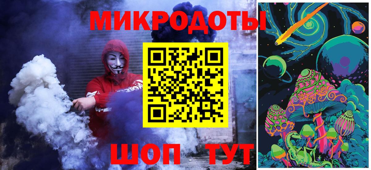 Псилоцибиновые грибы Psilocybe Коммунар