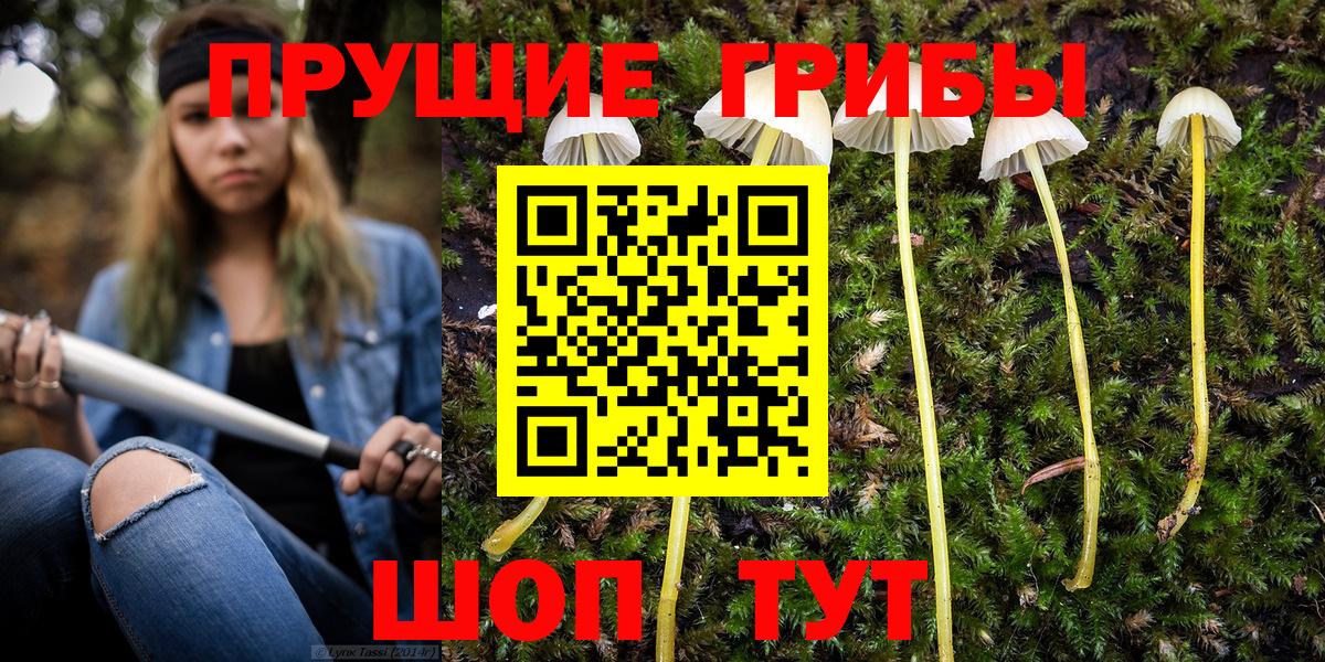 Коммунар  Псилоцибиновые грибы ЛСД  купить закладку  Вход с VPN 